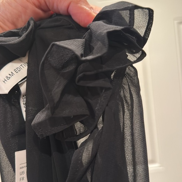 H&M Edition Sheer Maxi Dress - Picture 8 of 8